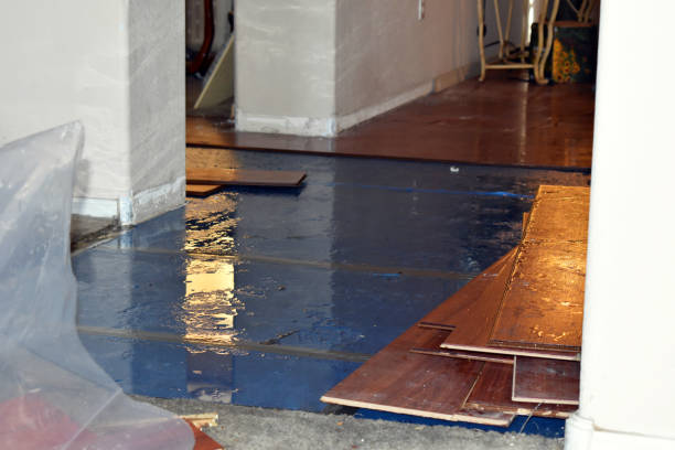 Professional Sewage Cleanup technician working in Augusta, MI